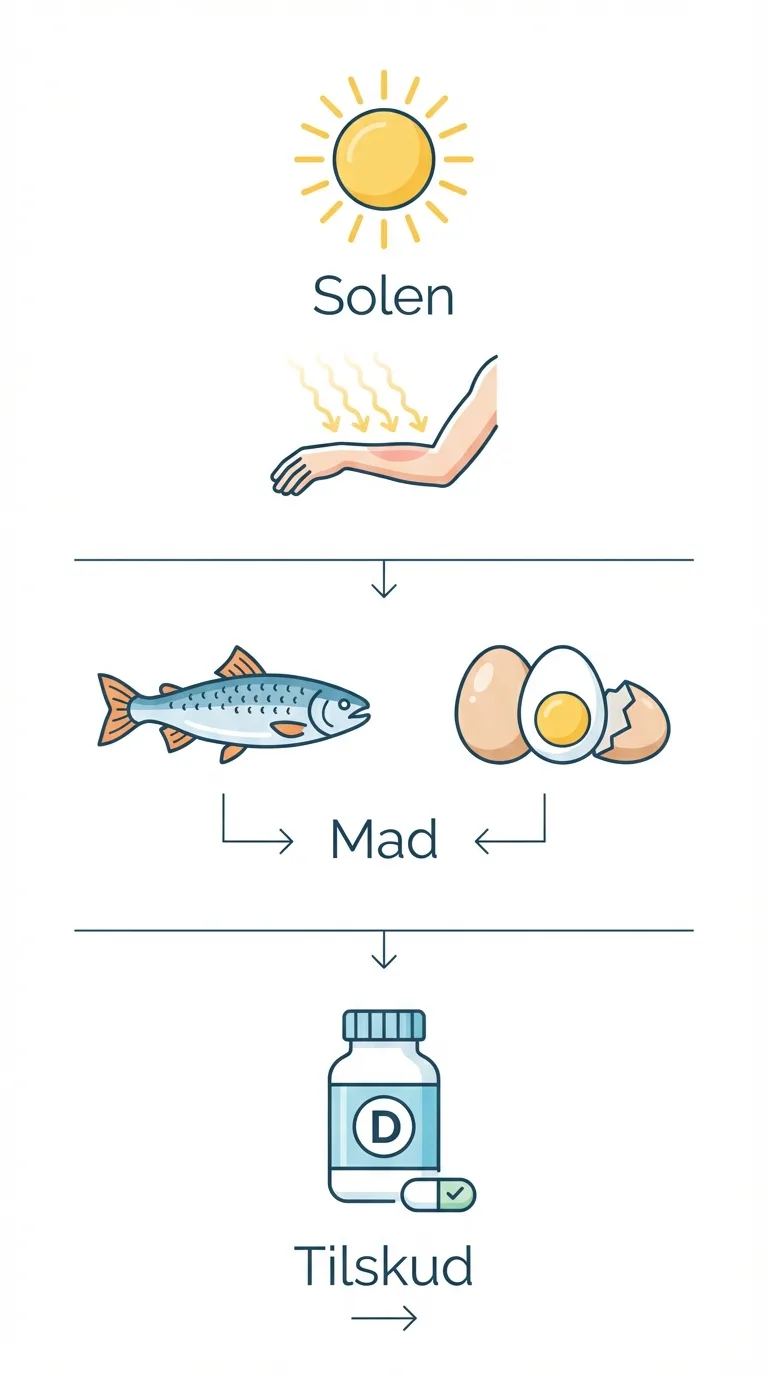 Infografik: sådan vælger du den rigtige D-vitamin