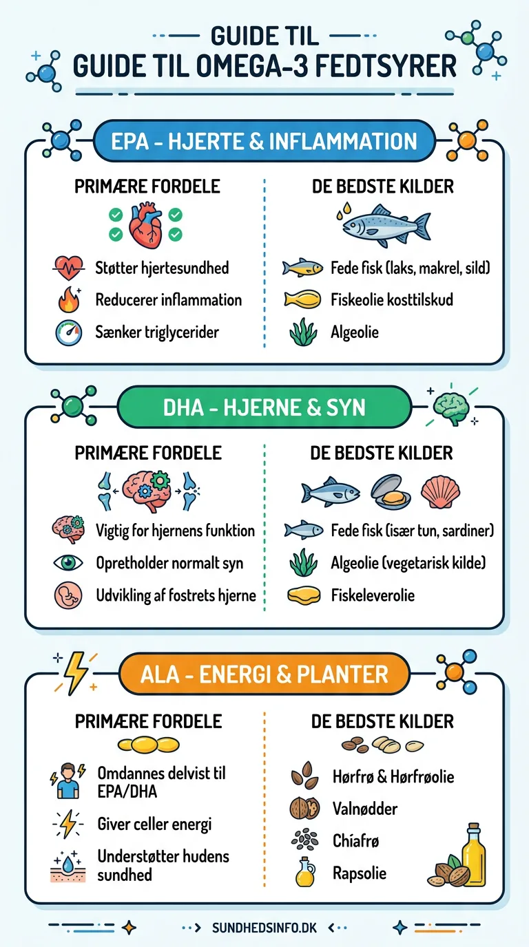 Infografik: sådan vælger du den rigtige omega-3