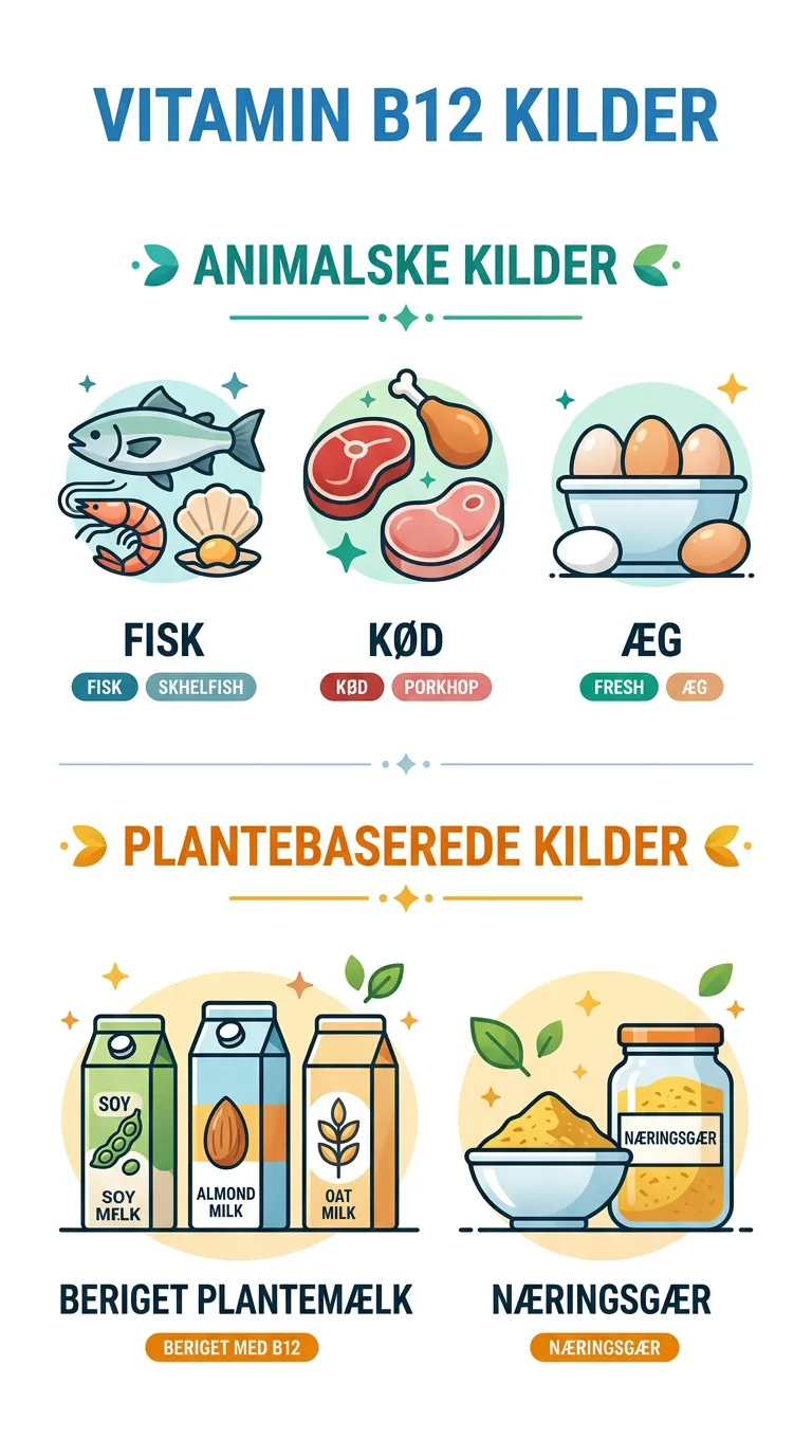 Infografik: sådan vælger du det rigtige B12-vitamin